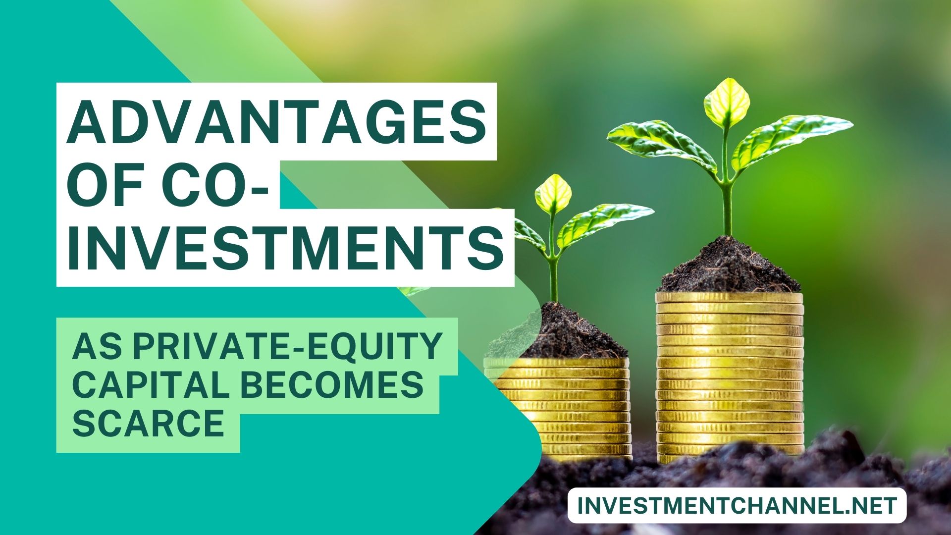 Advantages of Co-Investments as Private-Equity Capital Becomes Scarce